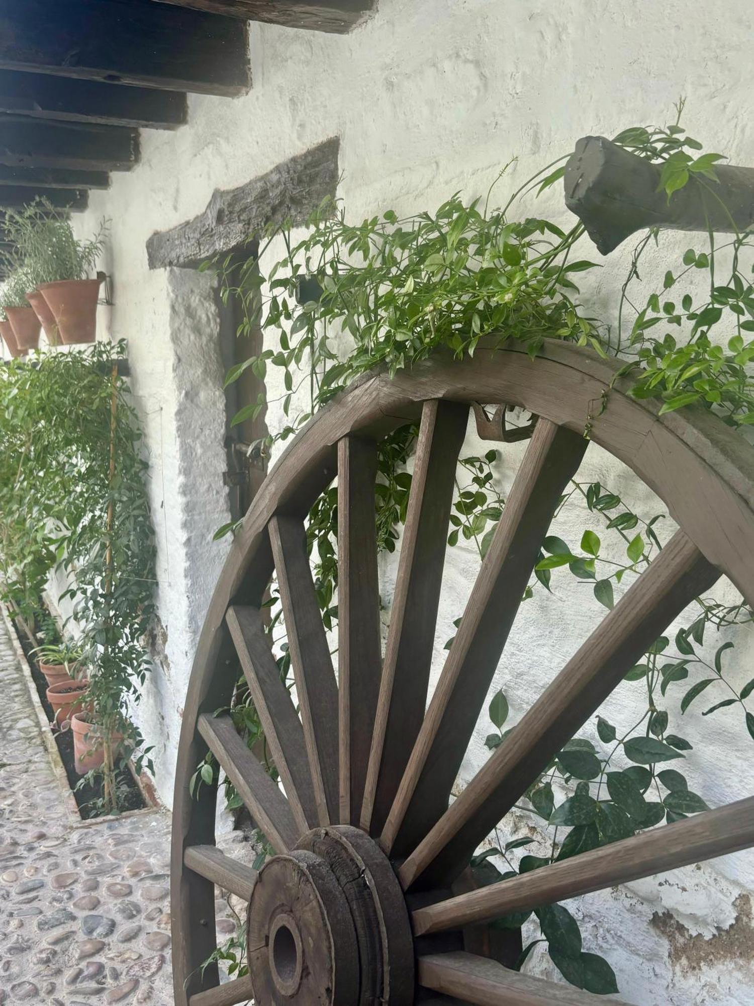 La Buganvilla De Santiago Cordoba Exterior photo